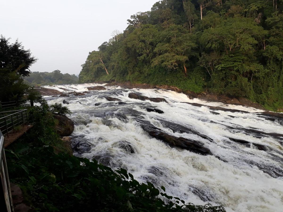 Valiyathayil Home Stay Kochi Buitenkant foto